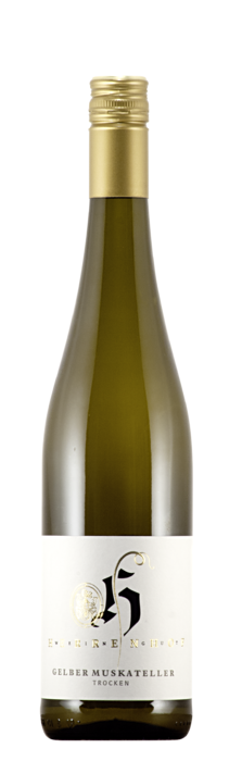 2024 Gelber Muskateller / Weingut Herrenhof / Eschbach | © Weingut Herrenhof