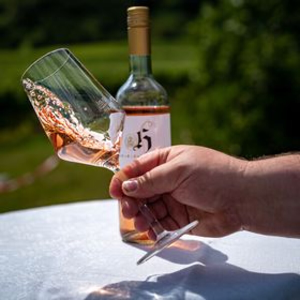 Bild | © Weingut Herrenhof